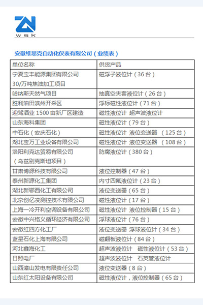 安徽維思克自動(dòng)化儀表有限公司（資質(zhì)文件）_11